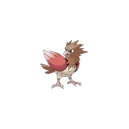 0021 Spearow