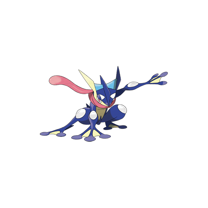 0658 Greninja